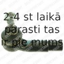 Stūres šķērsstiepņa uzgalis DELPHI TA1690