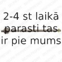 Aksiālais šarnīrs, Stūres šķērsstiepnis DELPHI TA1764