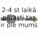 Aksiālais šarnīrs, Stūres šķērsstiepnis DELPHI TA1823