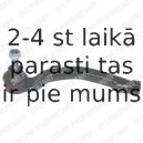 Stūres šķērsstiepņa uzgalis DELPHI TA1941