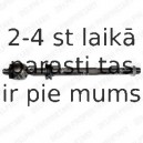 Aksiālais šarnīrs, Stūres šķērsstiepnis DELPHI TA2019