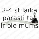 Stūres šķērsstiepņa uzgalis DELPHI TA2330