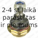 Balst-/Virzošais šarnīrs DELPHI TC1022