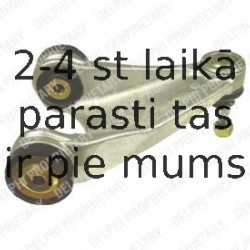 Рычаг независимой подвески колеса, подвеска колеса DELPHI TC1065