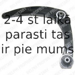 Рычаг независимой подвески колеса, подвеска колеса DELPHI TC1156