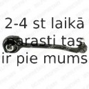 Рычаг независимой подвески колеса, подвеска колеса DELPHI TC1282