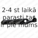 Рычаг независимой подвески колеса, подвеска колеса DELPHI TC1328