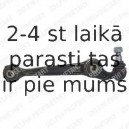 Рычаг независимой подвески колеса, подвеска колеса DELPHI TC1411