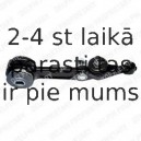 Рычаг независимой подвески колеса, подвеска колеса DELPHI TC1497