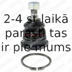 Balst-/Virzošais šarnīrs DELPHI TC1788