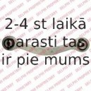 Тяга / стойка, подвеска колеса DELPHI TC1948