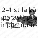 Balst-/Virzošais šarnīrs DELPHI TC202