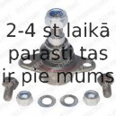 Balst-/Virzošais šarnīrs DELPHI TC2064