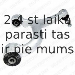 Рычаг независимой подвески колеса, подвеска колеса DELPHI TC2138