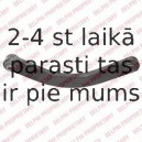 Рычаг независимой подвески колеса, подвеска колеса DELPHI TC2143