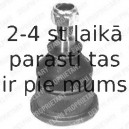 Balst-/Virzošais šarnīrs DELPHI TC284