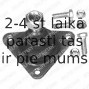 Balst-/Virzošais šarnīrs DELPHI TC297