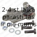 Несущий / направляющий шарнир DELPHI TC503