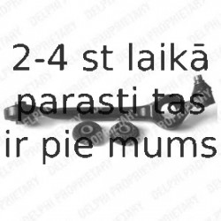 Рычаг независимой подвески колеса, подвеска колеса DELPHI TC505