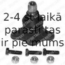 Balst-/Virzošais šarnīrs DELPHI TC687