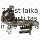 Balst-/Virzošais šarnīrs DELPHI TC707