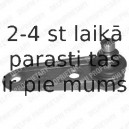 Balst-/Virzošais šarnīrs DELPHI TC742