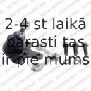 Balst-/Virzošais šarnīrs DELPHI TC753