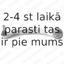 Рычаг независимой подвески колеса, подвеска колеса DELPHI TC769