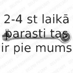 Рычаг независимой подвески колеса, подвеска колеса DELPHI TC772