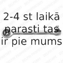 Рычаг независимой подвески колеса, подвеска колеса DELPHI TC773