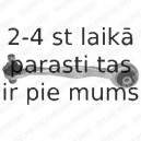 Рычаг независимой подвески колеса, подвеска колеса DELPHI TC801