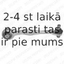 Рычаг независимой подвески колеса, подвеска колеса DELPHI TC802