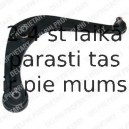 Рычаг независимой подвески колеса, подвеска колеса DELPHI TC875