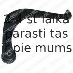 Рычаг независимой подвески колеса, подвеска колеса DELPHI TC875