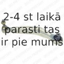 Рычаг независимой подвески колеса, подвеска колеса DELPHI TC957