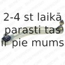 Рычаг независимой подвески колеса, подвеска колеса DELPHI TC958