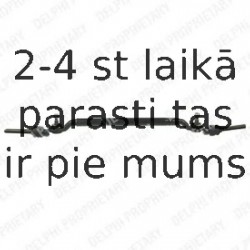 Stūres garenstiepnis DELPHI TL451