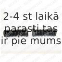 Putekļusargu komplekts, Stūres iekārta DELPHI TBR3007