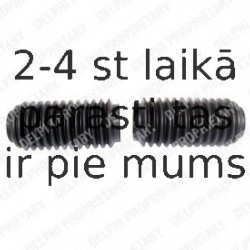 Putekļusargu komplekts, Stūres iekārta DELPHI TBR3017