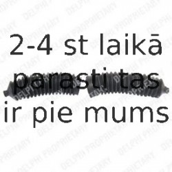 Putekļusargu komplekts, Stūres iekārta DELPHI TBR4122