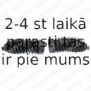 Putekļusargu komplekts, Stūres iekārta DELPHI TBR4135