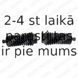 Putekļusargu komplekts, Stūres iekārta DELPHI TBR4169