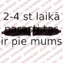 Putekļusargu komplekts, Stūres iekārta DELPHI TBR4214