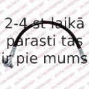 Тормозной шланг DELPHI LH6734