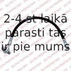 Тормозной шланг DELPHI LH6734