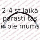 Тормозной шланг DELPHI LH6735