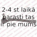 Stūres šķērsstiepņa uzgalis DELPHI TA2480