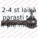 Stūres šķērsstiepņa uzgalis DELPHI TA2495