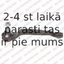 Stūres šķērsstiepņa uzgalis DELPHI TA2500