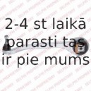Рычаг независимой подвески колеса, подвеска колеса DELPHI TC1968